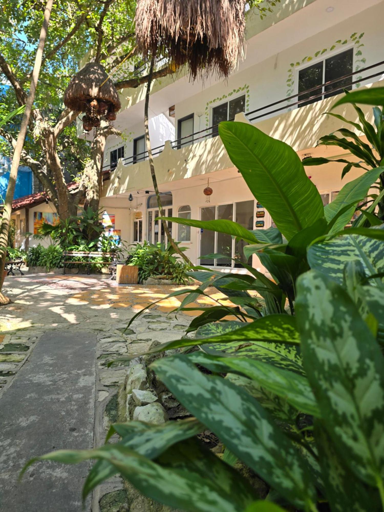 Hotel Ha Garden Gallery - 5Th Avenue プレヤデルカーメン エクステリア 写真