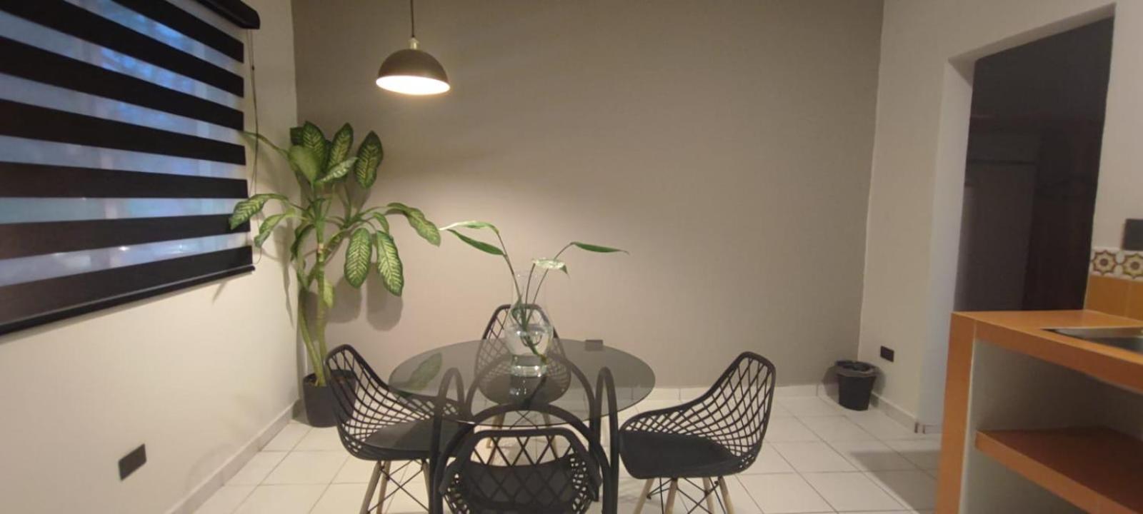 Hotel Ha Garden Gallery - 5Th Avenue プレヤデルカーメン エクステリア 写真
