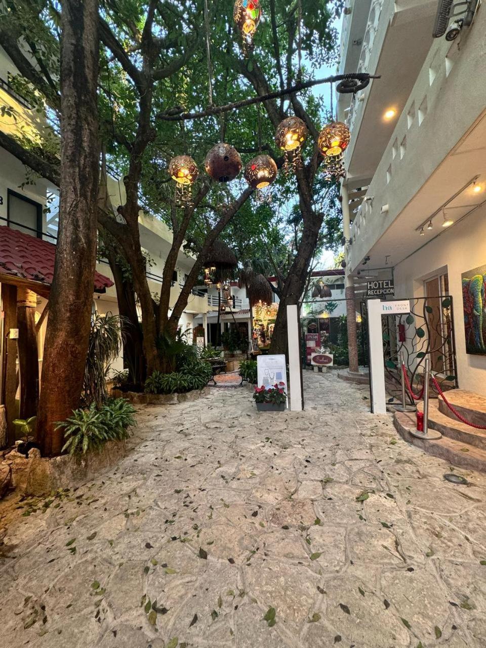Hotel Ha Garden Gallery - 5Th Avenue プレヤデルカーメン エクステリア 写真